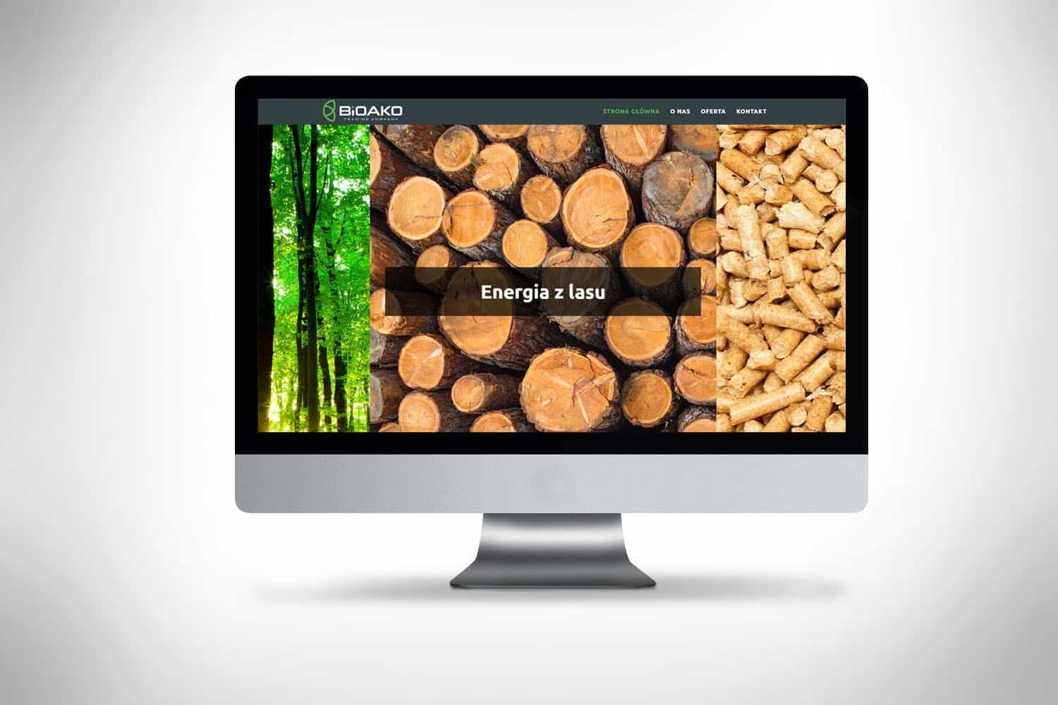 Strona dla firmy energetycznej
