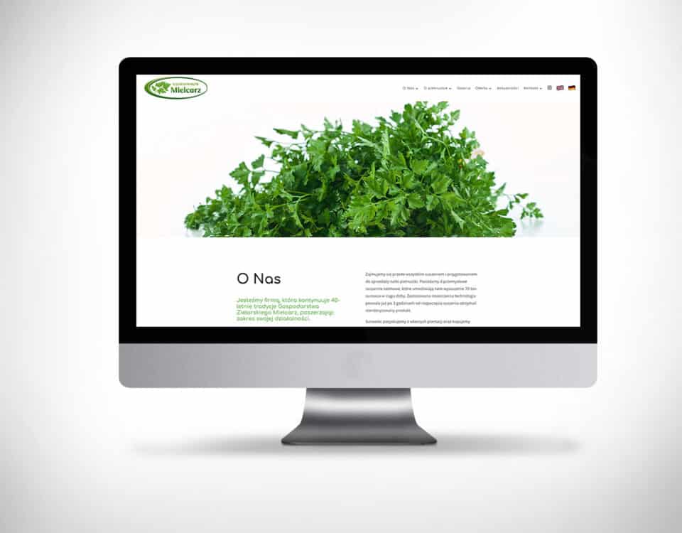 strona www dla suszarni warzyw