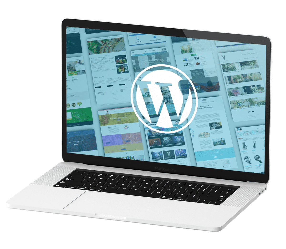 Wordpress tworzenie stron www - Poznań, Kalisz Wordpress tworzenie stron www - Poznań, Kalisz